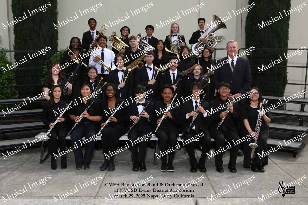 Musical Images